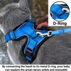 Mr. Peanut's PurrTrek Reflective Cat Harness with Matching Leash (Small,
