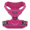 Voyager Dog Harness Dual Leash Attachment No-Pull Control Adjustable Soft