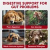 Probiotics for Dogs Digestive Health - Probiotic Chews for Gut