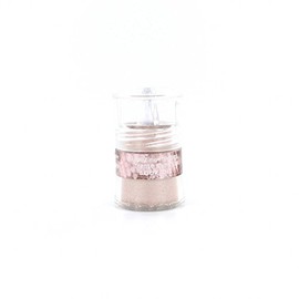 Ombre à Paupières Suivez Mon Regard Bourjois - 25 Beige Sunshine