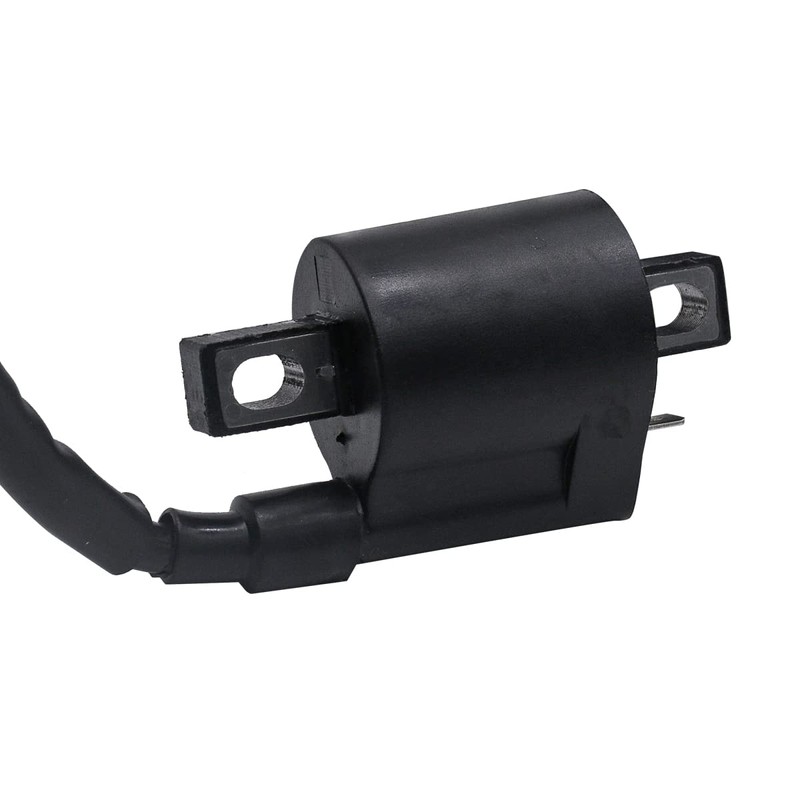 Rebuiman Ignition Coil and CDI Box Fit for Polaris Scrambler