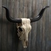 Veronese Design 14 Inch Long Horn Animal Skull Resin Wall
