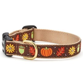 Up Country Dog Collar - Harvest Time