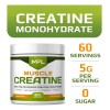Mfl Creatine Monohydrate Micronizada 5 G Por Porción
