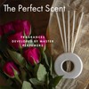 ScentAir - Infused Liquidless Reeds - Santal & Red Cedar