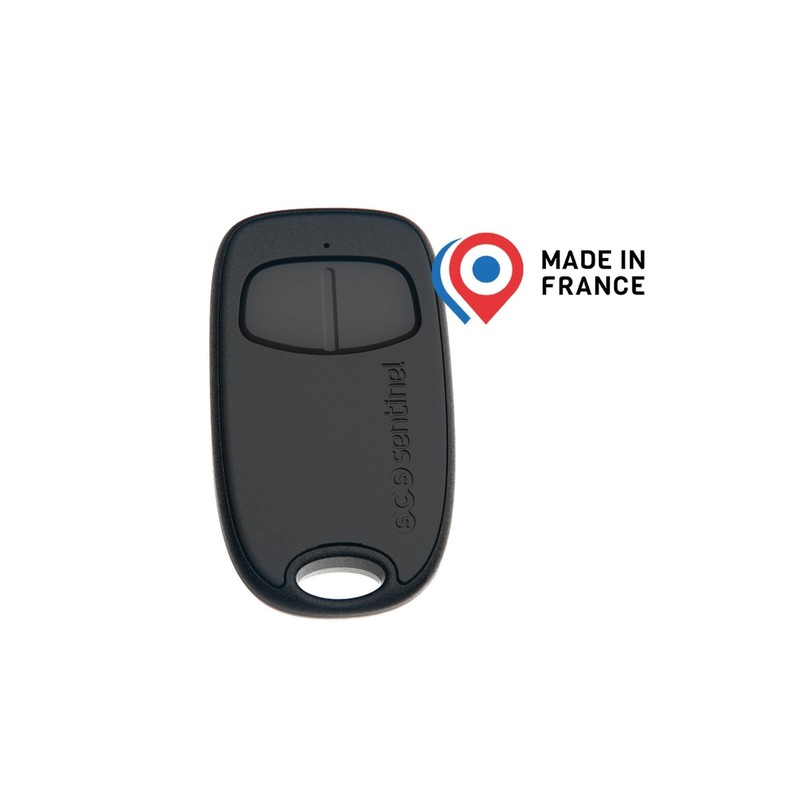 SCS Sentinel, AAM0128 SimplyControl 2 Channel Remote Control with Rotating