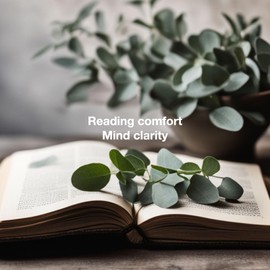 Eucalyptus Mint Scented Candles for Men - Natural Soy Candles | Best Friend Birthday Gifts | 7oz 40 Hours Burn Time