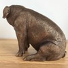 Leonardo Bronze Effect Sitting Pig Ornament Reflections Farm Animals Collection