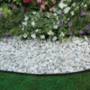EASYFLEX Dimex No-dig 20' Edging with 6 Spikes