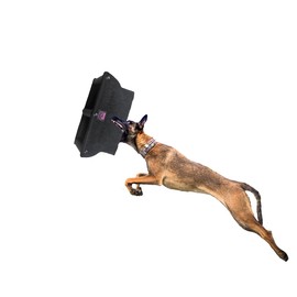 NYDH Durable Dog Bite Wedge+Dog Bite Tug Toy ,Durable Nylon Blending Fabric,Suitable for Diminutive to Medium Dogs,Dog Bite Pillow,k9,Dog Bite Sleeves,Dog Toys, (Black)