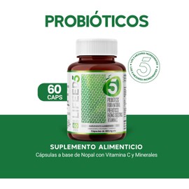 LIFEED Probióticos 50 Billones | Enzimas Digestivas, Fibra Natural, Vitamina C y Zinc | 60 Cápsulas con Inulina de Agave y Lactobacilos