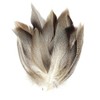 KTGCOZS Pack of 50 Flank Feathers Fly Tying Natural Barred