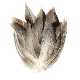 KTGCOZS Pack of 50 Flank Feathers Fly Tying Natural Barred Mallard Duck Flank Feathers Wild Goose Hair Wing