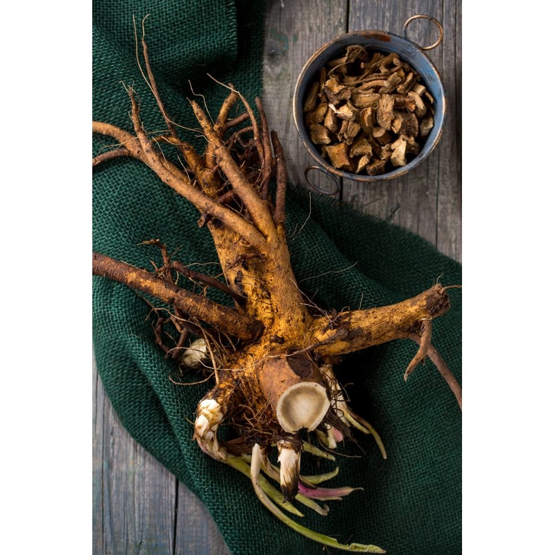 Health Embassy Oman Root | Elecampane Root | Inula Helenium