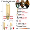LiteHistory Dimmable T10 LED Bulb 4W Equal E26 Edison Bulb