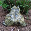 Call of the Wild HomeStyles 89590 Bullfrog Toad 8.5" H