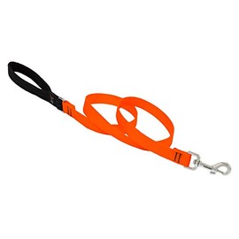 Dog Leash by Lupine in 3/4" wide Blaze Orange 6-foot long with Padded Handle
