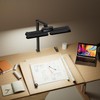 Honeywell HJ3B Sunturalux LED Clamp Desk Lamp for Computer Architect