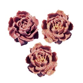 Luxury Rose Soap-free Handmade Scented Moisturizing Hand & Body Wash (3 Piece Set of Dusty Rose)