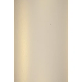 Netuno 50 x Pearlescent Light Gold Fine Paper DIN A5 210 x 148 mm 120 g Majestic Light Gold Craft Paper Gold Shiny Effect Paper Metallic Gold Glossy Paper for Christmas Wedding Birthday
