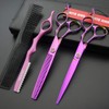 Juego de tijeras de corte de pelo profesional con estuche