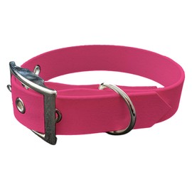Collar and Lead for Dogs Made of BioThane Material Medium Width (55-65 cm, Fuchsia)