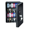 SentrySafe Sentry Safe Caja Para 25 Llaves Seguro Con Llave