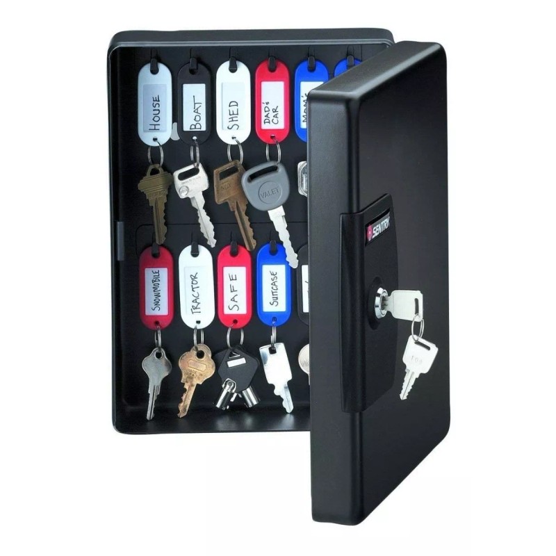SentrySafe Sentry Safe Caja Para 25 Llaves Seguro Con Llave