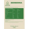 Berberina Canela Cromo 120 Cápsulas Raíces Zen Azúcar Sangre Sin
