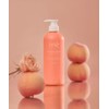 Hairplus Modern Peach Treatment 700ml