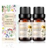 2-PACK Calendula Essential Oil - 100% Pure Organic Natural Plant