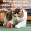 STFYUG Cat Toy Ball, Interactive Cat Toy, Cat Ball, 360°