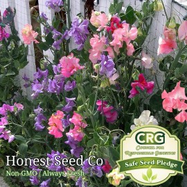 Honest Seed Co. Dwarf Sweet Pea Bijou Mix Seeds | Non-GMO Annual Flower Seeds in BULK - 100+