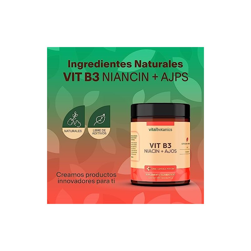 Vitamina B3 Niacina y Ajo. Con 120 capsulas de 500mg