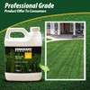 Endurant Turf Colorants - Premium Spray On Green Grass Paint