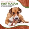 SPOT Bam-Bones Plus Branch -Bamboo Fiber & Nylon, Durable Long