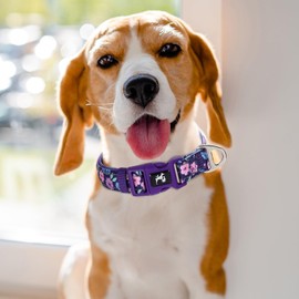 Reflective Dog Collar for Medium, Large & Extra Large Dogs - Purple Floral Design High Visibility Night Safety Collar, Soft Neoprene Padded,Durable & Adjustable for Night Walks -XL