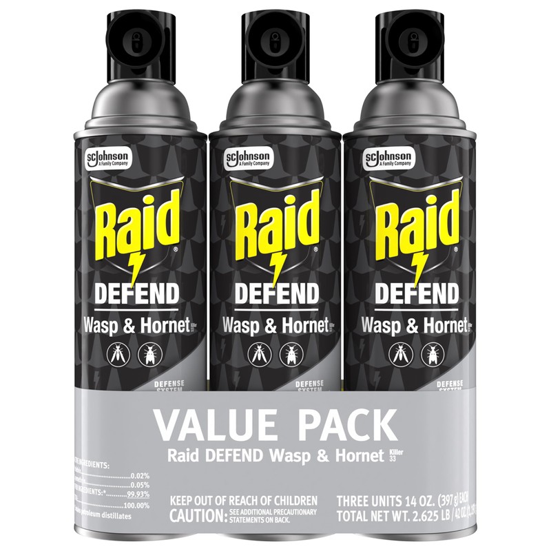 Raid Wasp & Hornet Killer Spray (14 Ounce (Pack of