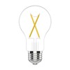 GE 60 Watt EQ A19 Classic Crystal Clear Soft White