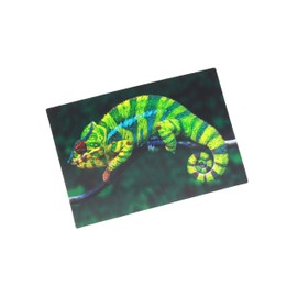 3D Postcard Chameleon Postcard Wobble Card Hologram Card Animal Lizard