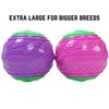 RUFFRUFF Pack of 2. Extra Large XL Squeaky Ball for