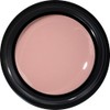 PRE GEL PG-CE924 Color Gel, Color EX, Glossy Skin, 0.1