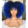 CoCrowns 14inch Short Curly Afro Wigs for Black Women Afro