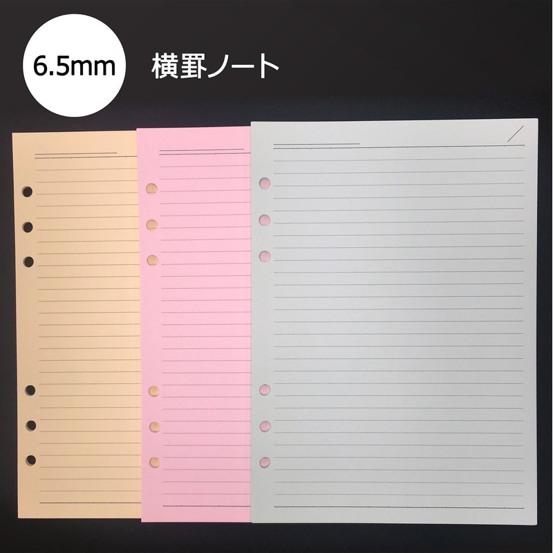 Raymay Fujii DAR4012 Notebook, Refill, Horizontal Ruled Notebook, 0.26 inch