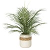 Areca Palm Fronds in Ceramic Planter with Braided Detail