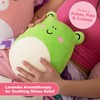 Squishmallows Wendy Heating Pad — Squishmallows Heating Pads For Cramps