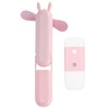 Handheld Fan Mini Small Folding USB Rechargeable Mobile Water Replenisher