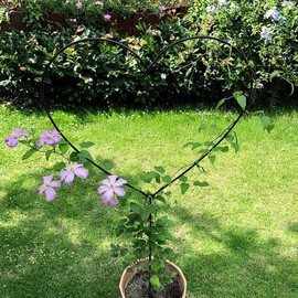 XMRSOY 2 Pack 34Inch Garden Trellis for Climbing Plants, Meatal Heart Shape Plant Support Decorative Plant Trellis Potted Vines Vegetables Flowers Rose Jasmine Pea Clematis Ivy Cucumbers