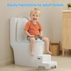 CheerTry 2-in-1 Toddler Potty Training Toilet - with Detachable Training
