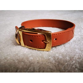 Luxury brown leather dog collar with gold buckle (Medium 46cm)